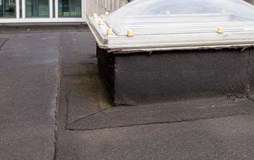 disadvantages of Little Finborough flat roofs