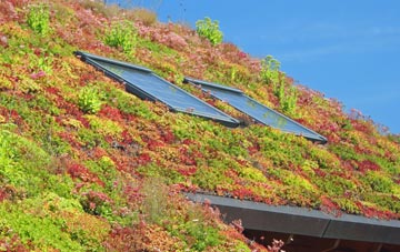Little Finborough living roof systems